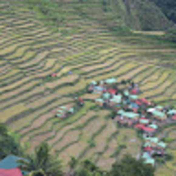 mikeguimbatan